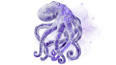 Cosmic Octopus Cosmic Octopus