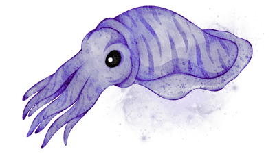 Cosmic Cuttlefish Cosmic Cuttlefish