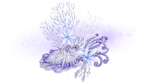 Cosmic Cuttlefish Cosmic Cuttlefish