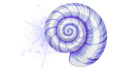 Cosmic Shell Cosmic Shell
