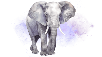 Cosmic Elephant Cosmic Elephant