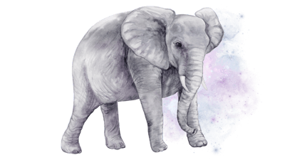 Cosmic Elephant Cosmic Elephant