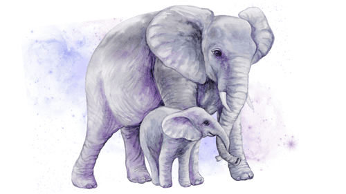 Cosmic Elephant Cosmic Elephant