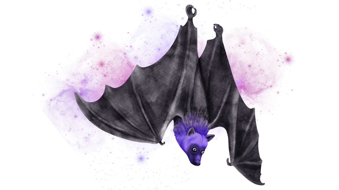 Cosmic Bat