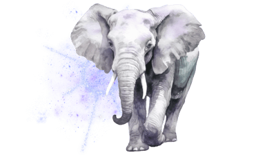 Cosmic Elephant Cosmic Elephant