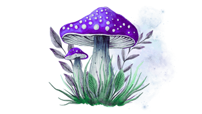 Cosmic Mushroom Cosmic Mushroom