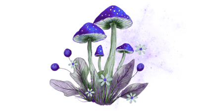 Cosmic Mushroom Cosmic Mushroom