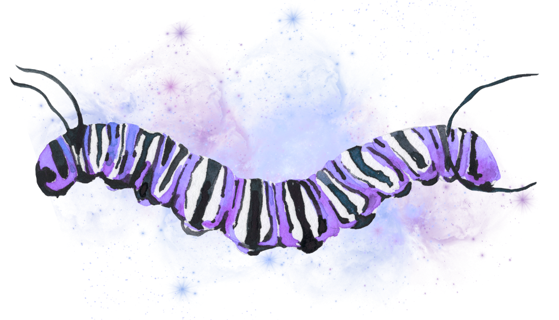 Cosmic Caterpillar