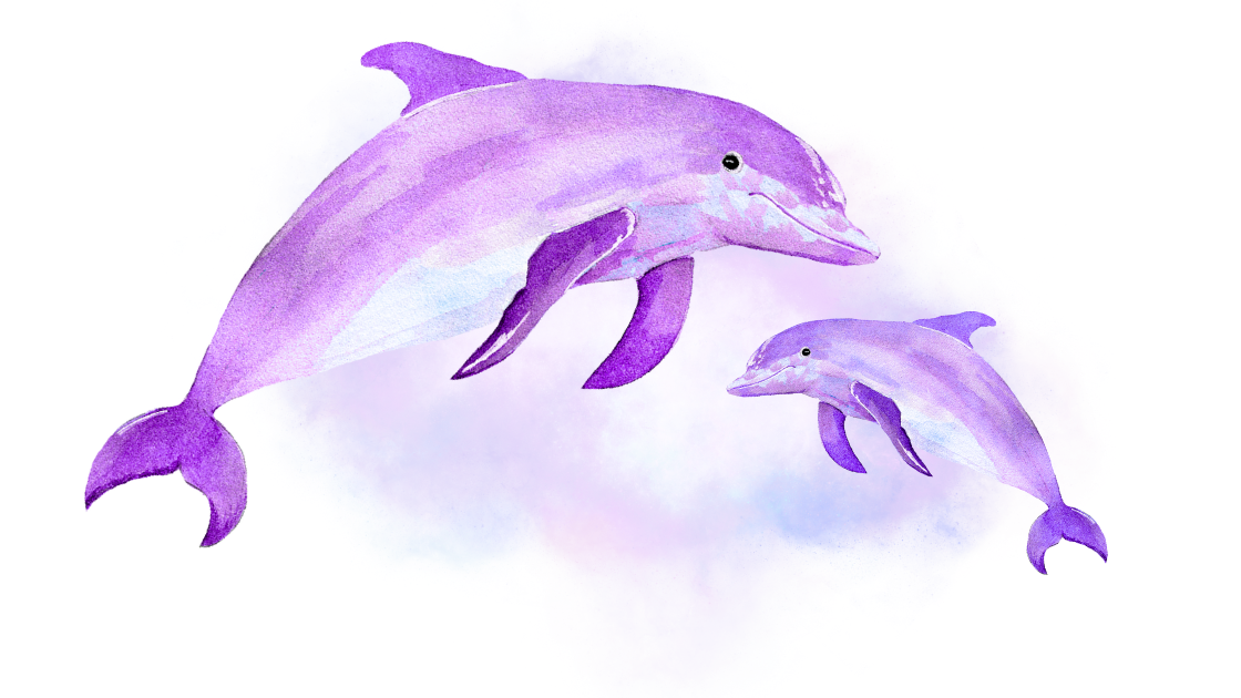 Cosmic Dolphin