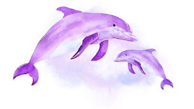 Cosmic Dolphin Cosmic Dolphin