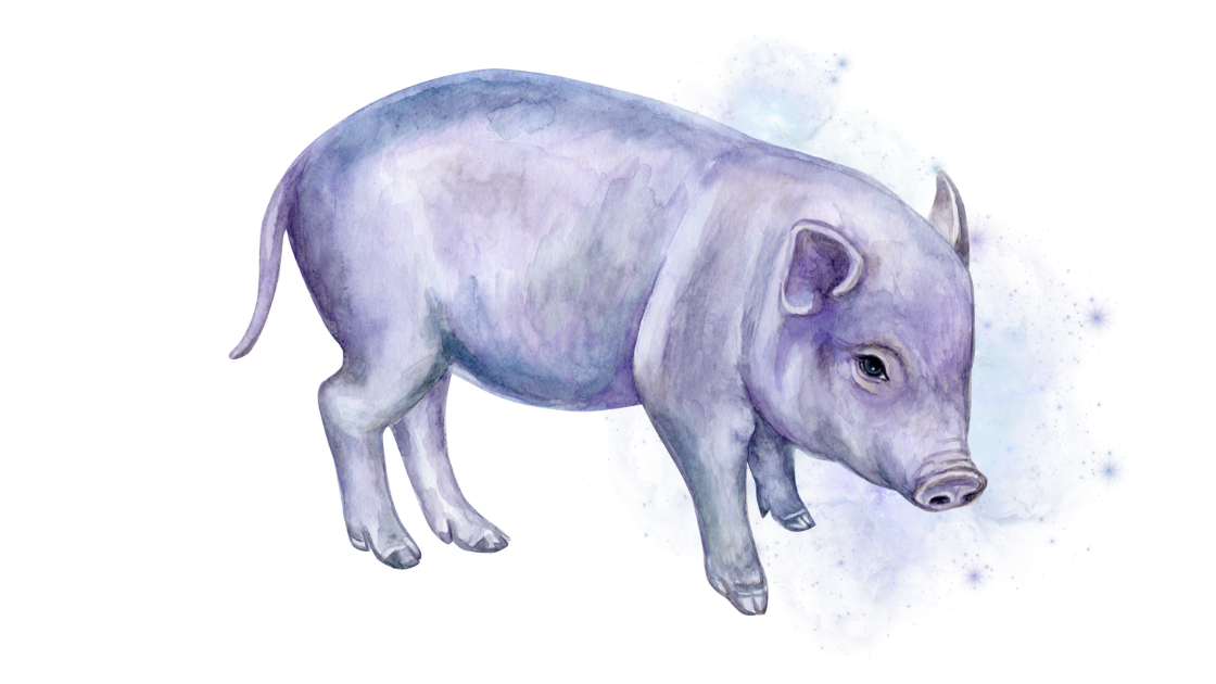 Cosmic Pig