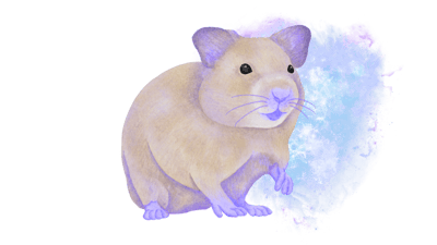 Cosmic Hamster