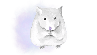 Cosmic Hamster