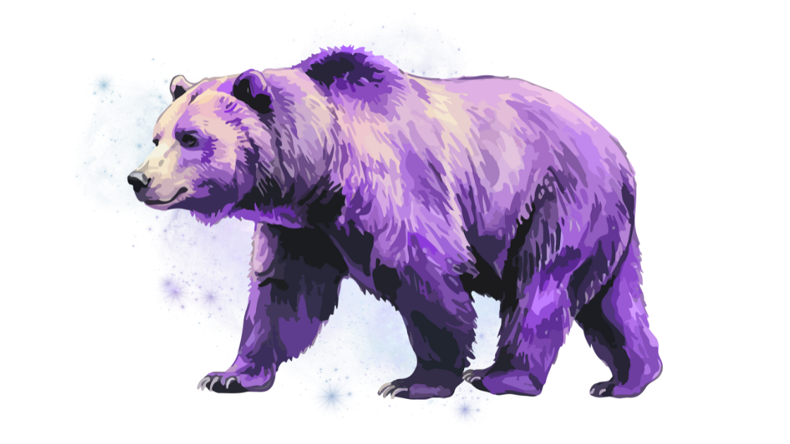 Cosmic Bear