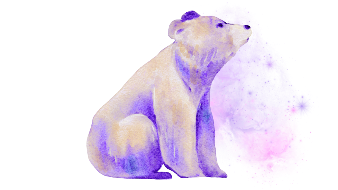 Cosmic Bear