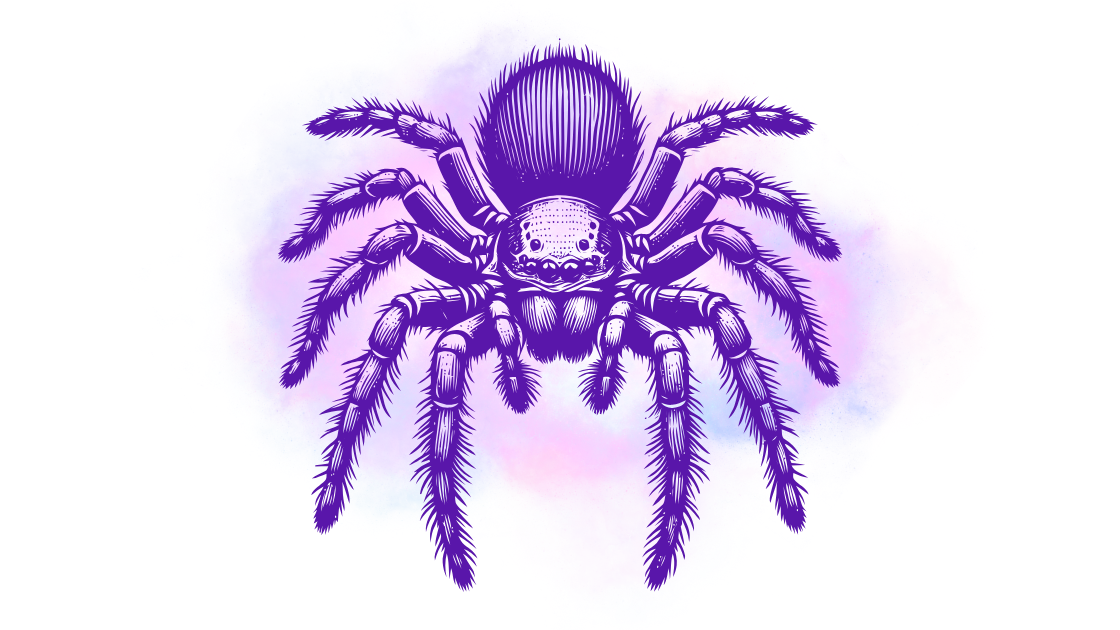 Cosmic Spider