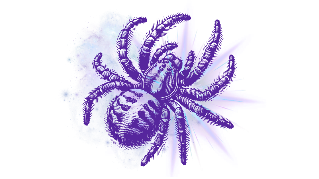 Cosmic Spider