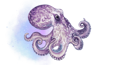 Cosmic Octopus Cosmic Octopus
